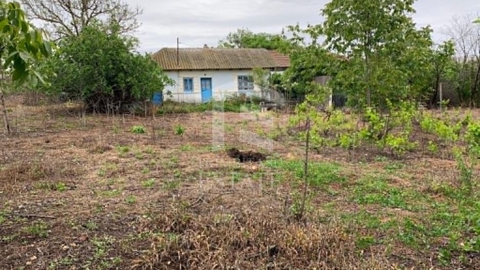 Teren intravilan 2562mp Loc 23 August | Ideal locuiță sau casă vacanță - Poză 7
