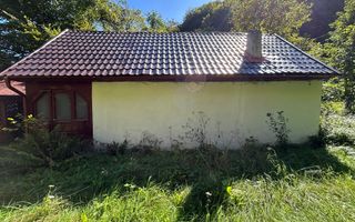 Cabana de vanzare, Valea Manastirii - Ramet - Poză 3