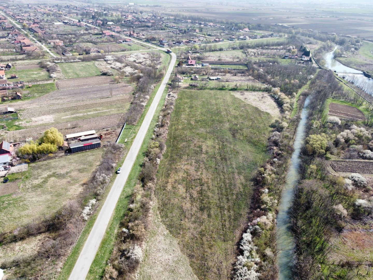 Teren intravilan Balint 22.500 mp - Poză 1