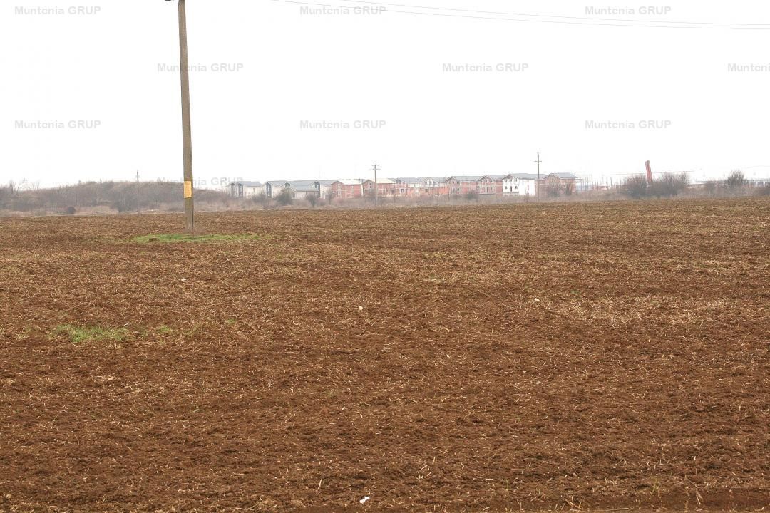 OTOPENI - Str. Drumul Garii Balotesti, 42100 mp. teren in zona construibila - Poză 4