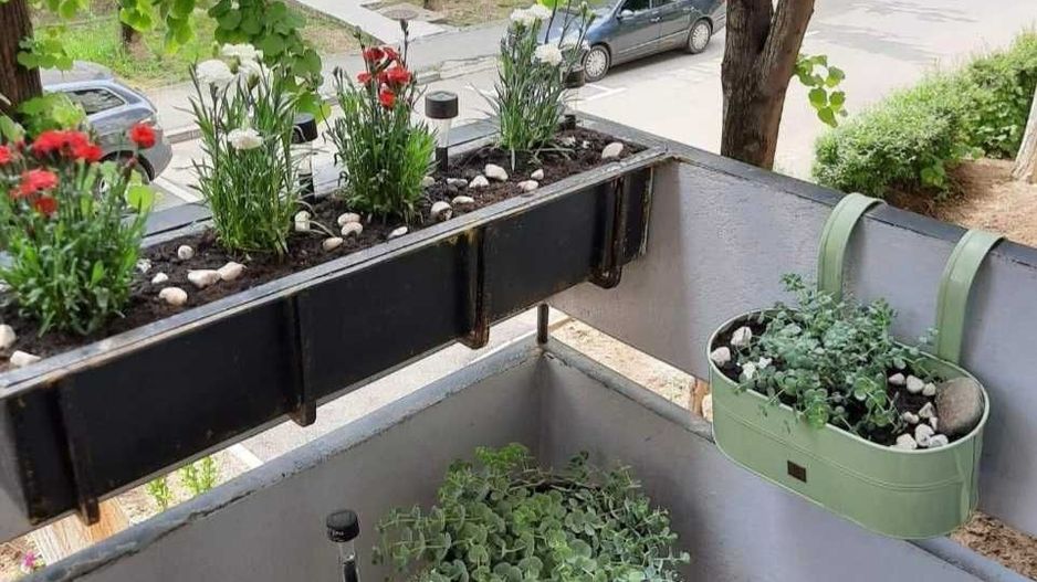 Apartament 2 camere - Poză 6