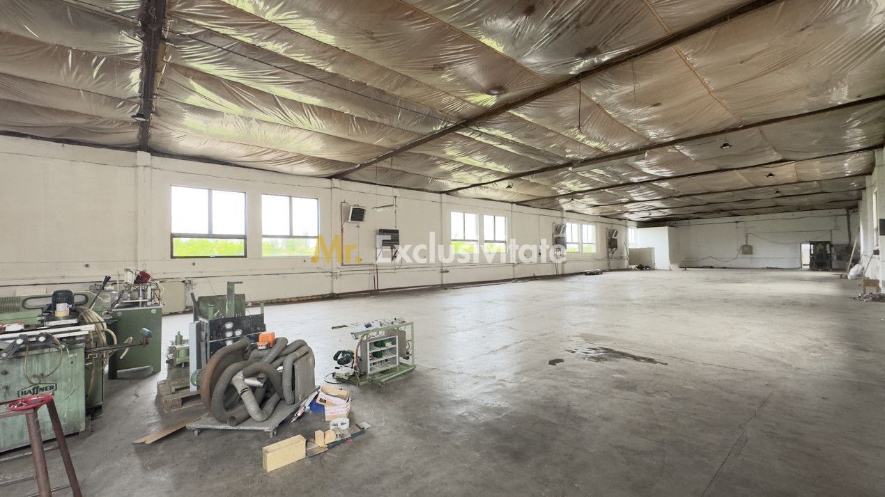 Clădire Industrială Hală Producție, Depozitare, Birouri-Teren 3140 mp - Carei - Poză 25