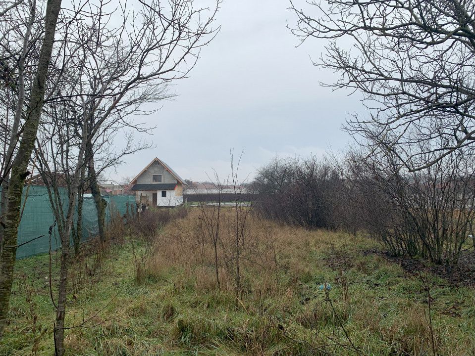  Casa cu teren generos de 1084 mp in centrul comunei Pischia, strada principala - Poză 6