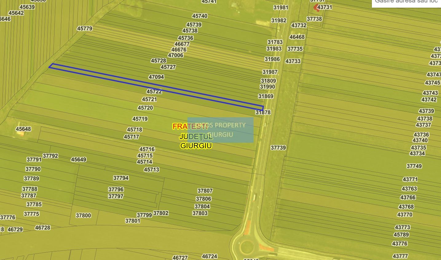 Teren extravilan 5000 mp – deschidere DN5 - Poză 3