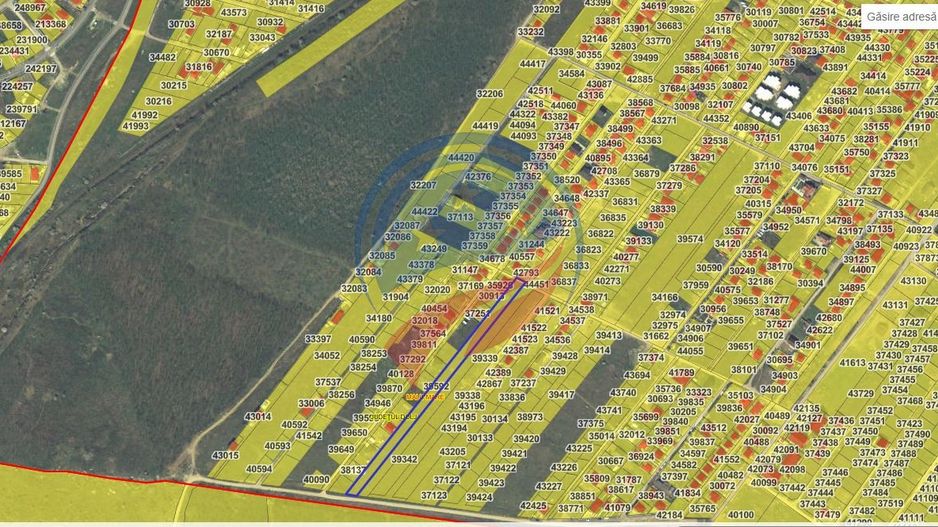 Teren intravilan in spate la Damila, spre padure, 95 euro/mp - Poză 2