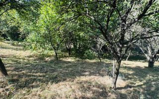 TEREN INTRAVILAN 3234 MP LEREȘTI VOINEȘTI ARGEȘ - Poză 25