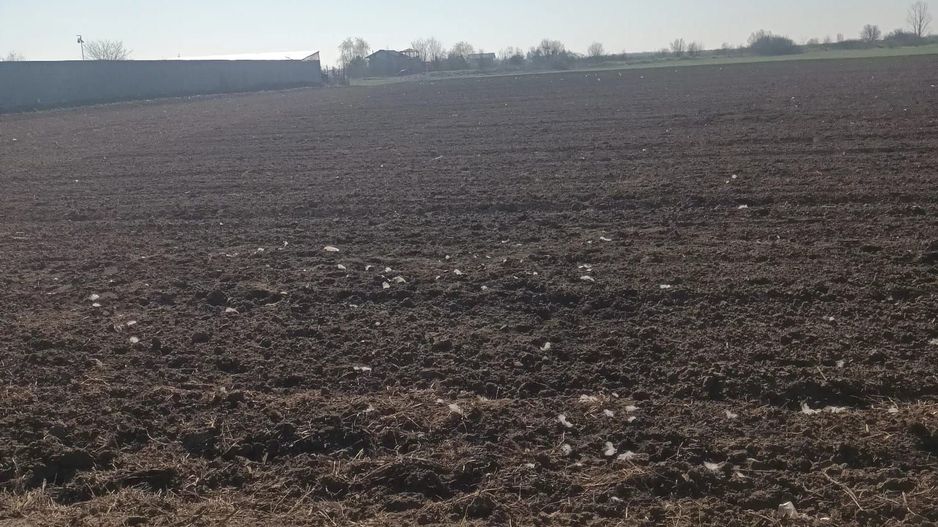 Loturi de vanzare Ordoreanu, terne de 500 m, drum servitute 8 m - Poză 4