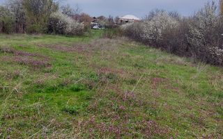 Teren Topoloveni - 3670 mp - langa padure, aproape de Centrul orasului  - Poză 5