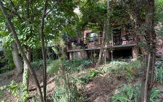 Casă individuală Buftea, 3.162 mp teren, ieșire spre lac - Poză 6