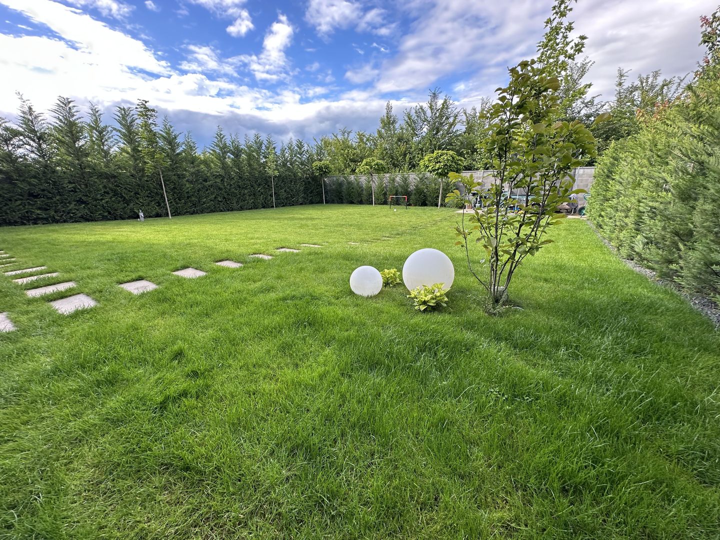 PROIECT  DEOSEBIT  IN  DUMBRAVITA - Poză 19