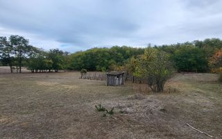 FERMA CU TEREN DE VANZRE - Poză 1