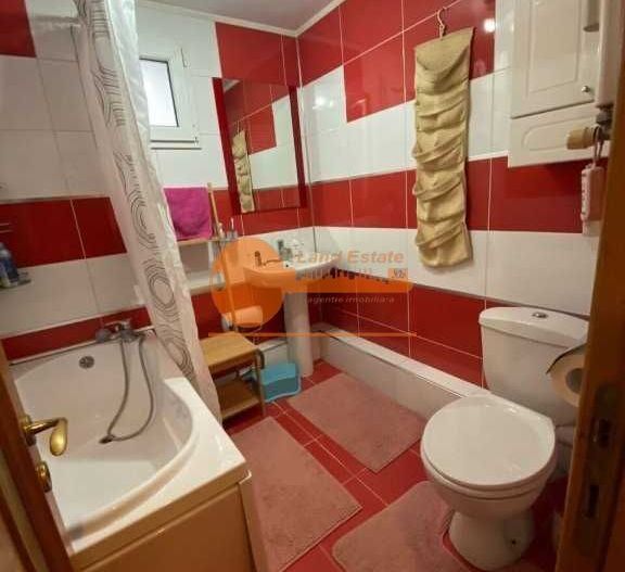 3 camere Tei - Teiul Doamnei - Poză 5