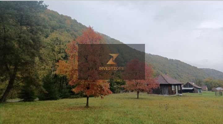 Teren de vis de vanzare in Remeti-Bihor-27p0 mp - Poză 4