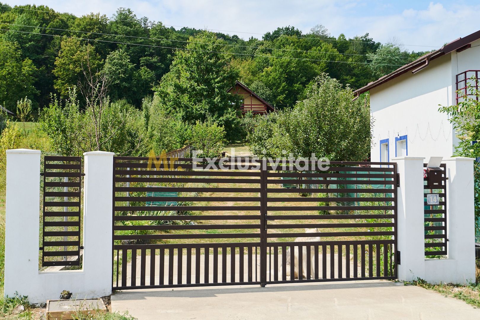 Doua CASE in aceeasi curte–BABANA, ARGEȘ | 1.485 MP TEREN - Poză 1