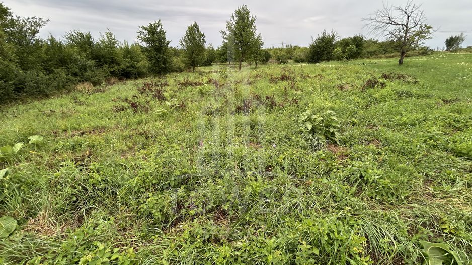 Teren intravilan de vânzare în Daia Nouă – 1.000 mp - Poză 4