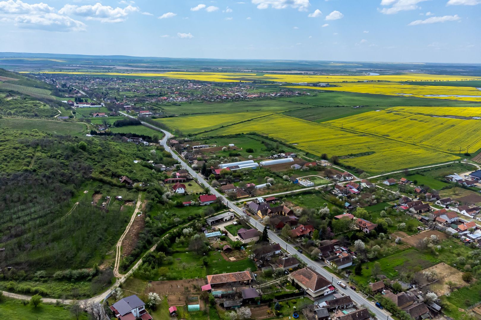 4.300 mp teren pe deal împădurit la Miniș - Poză 6