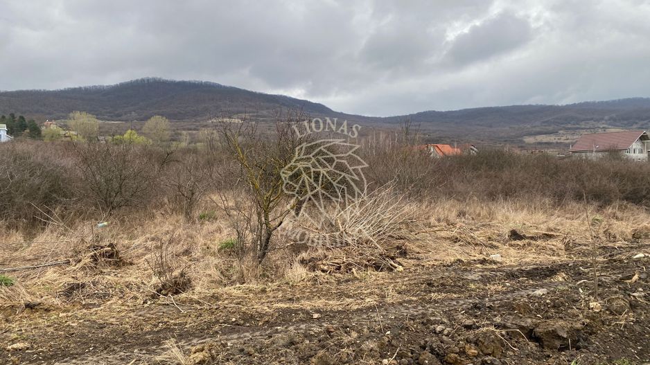 Teren 12,719 mp cu deschidere la DN17-ideal hala/parcare-Crainimat - Poză 4