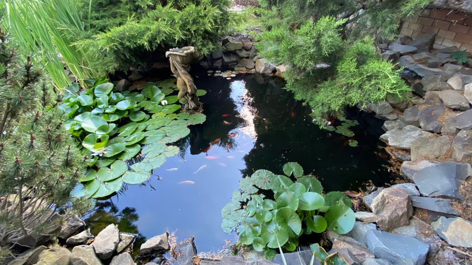 Vila in Braytim cu piscina - Poză 26