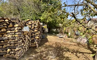 Casă cu teren de peste 3.000 mp, livadă și vie – Bujoreni, Gura Vaii - Poză 22