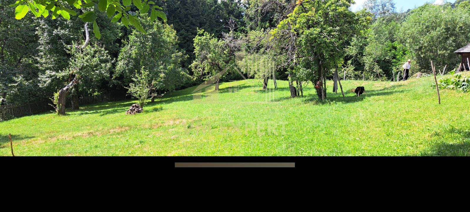 TEREN INTRAVILAN 2153 MP IN VALEA MARE PRAVAT - Poză 4