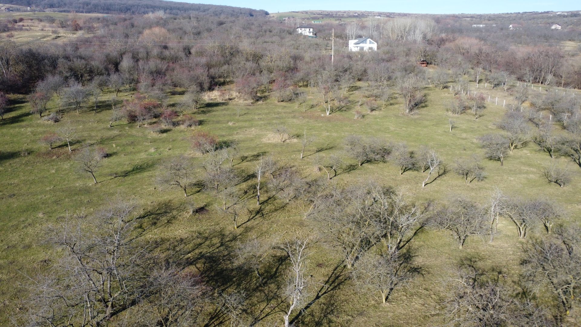 Teren 20.146 mp Dâmbu Rotund (Lomb).Extravilan.Potențial rezidențial - Poză 10