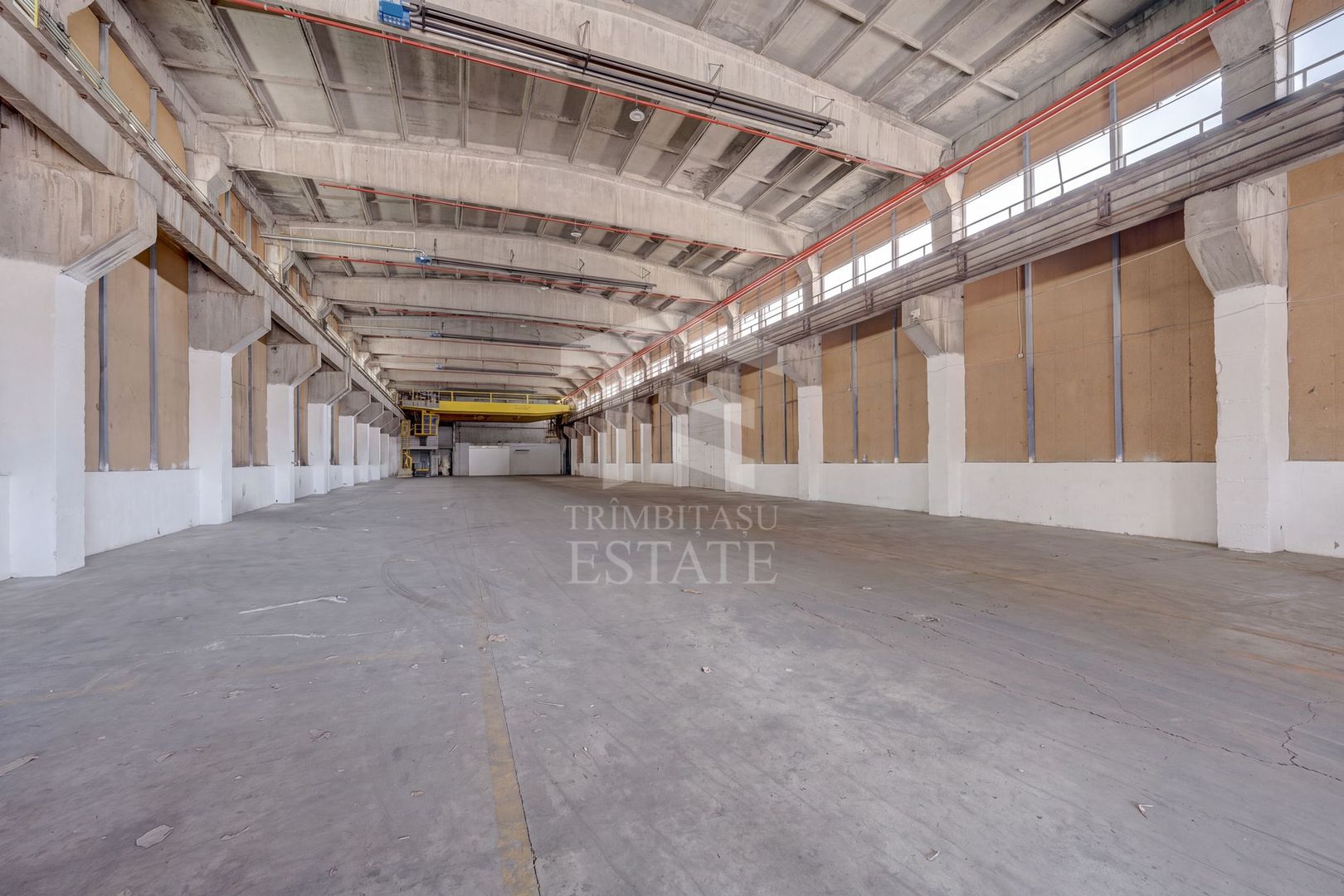 HALE INDUSTRIALE / DEPOZITARE – PLOIEȘTI, ZONA INDUSTRIALA  XENIA - Poză 5
