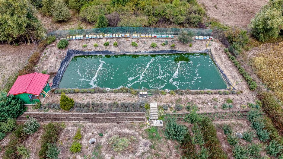 🏡 Mai mult decât o casă: libertatea de a trăi aproape de natură - Poză 4