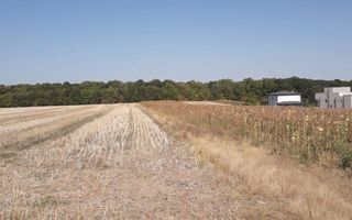 Caciulati! Teren de vanzare - 1500 mp la 15 minute de capitala - Poză 4