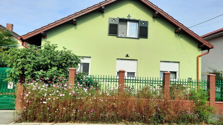 De Vânzare Casă Vânătorilor 9 ari teren - Poză 1