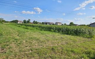 Teren intravilan 1.000 mp | Moara Vlăsiei | Strada Berzei - Poză 1
