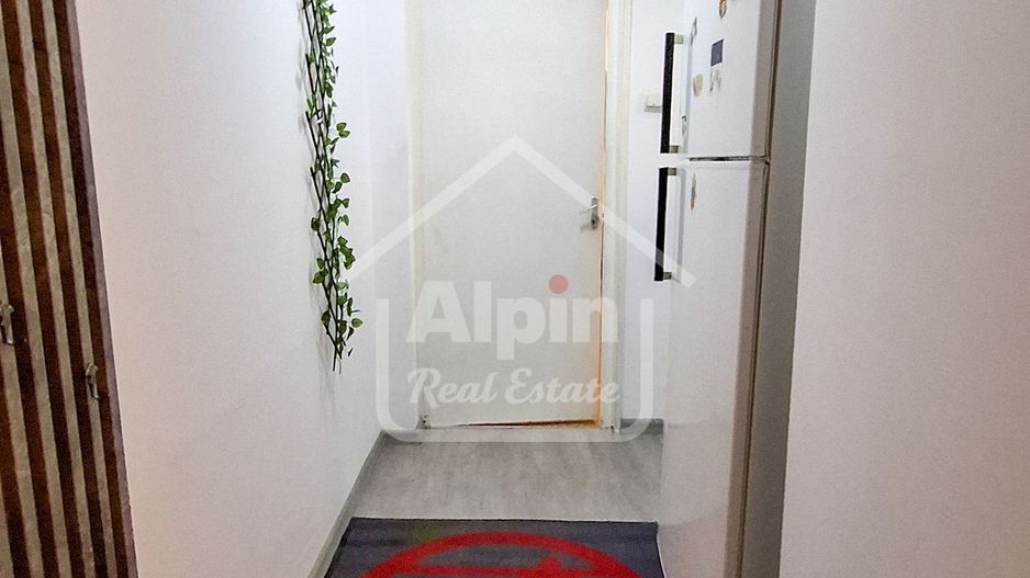 Suprafata Generoasa I Zona Gemenii - Poză 24