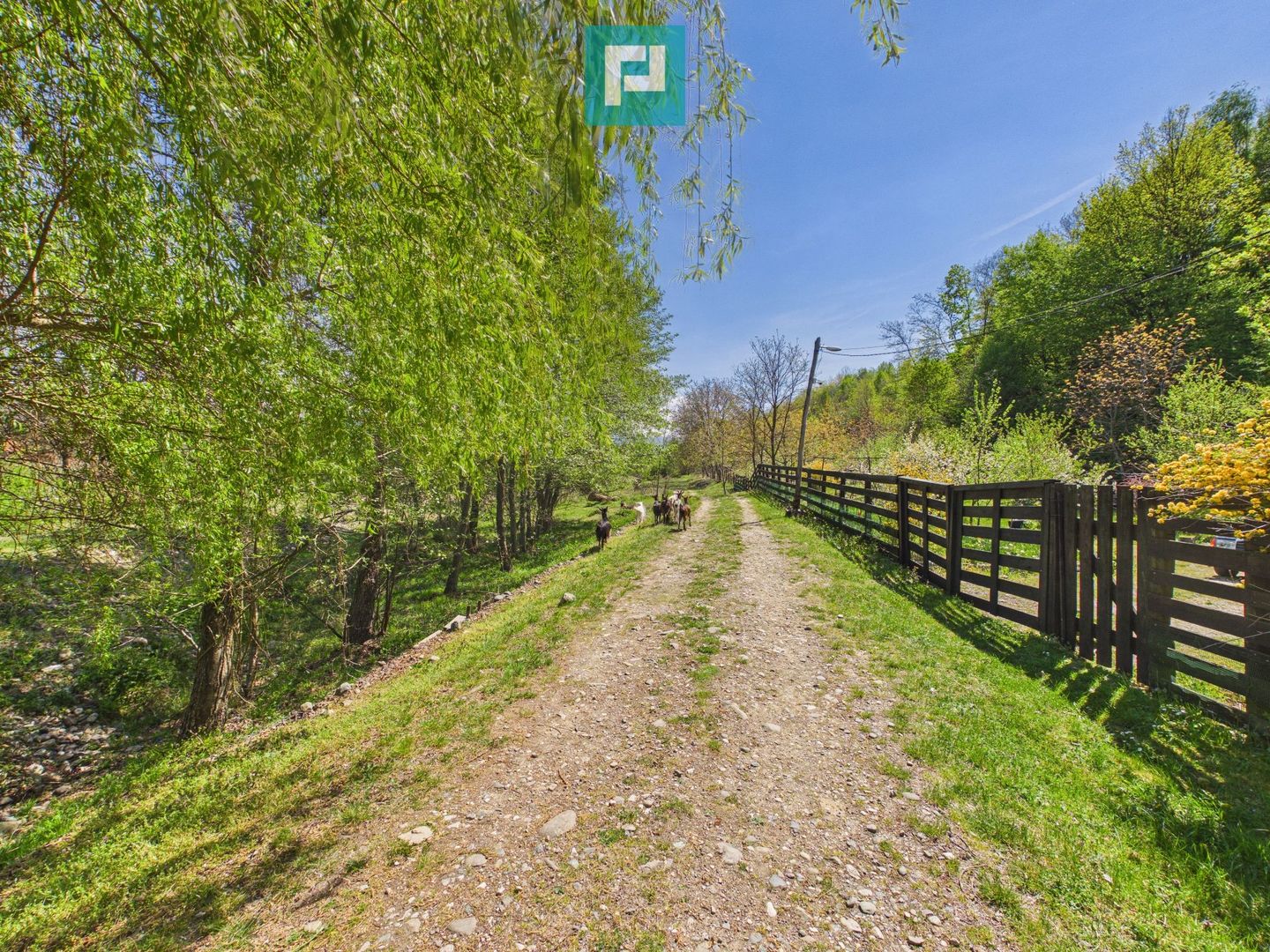 Casă Câmpani, 8000 mp teren, la poalele Apusenilor - Poză 21