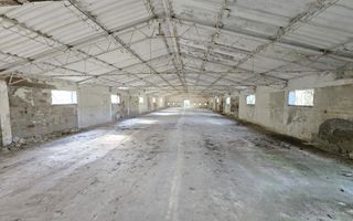 Hale industriale de vânzare – Arad, zona Exterior Vest / Calea Bodrog - Poză 7