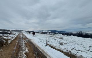 Teren 8.600 mp | Vedere panoramică| Bungard - Poză 7