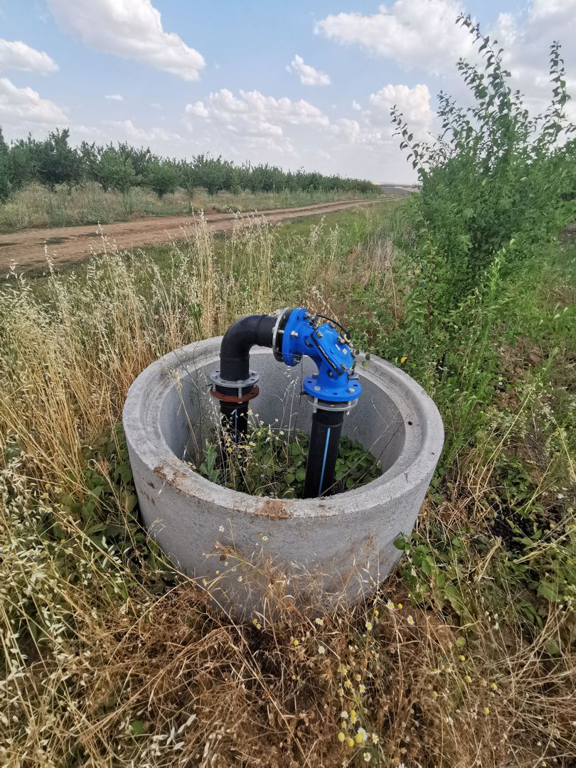 Ferma pomicola cu teren livada 270 ha - Timis - Poză 7