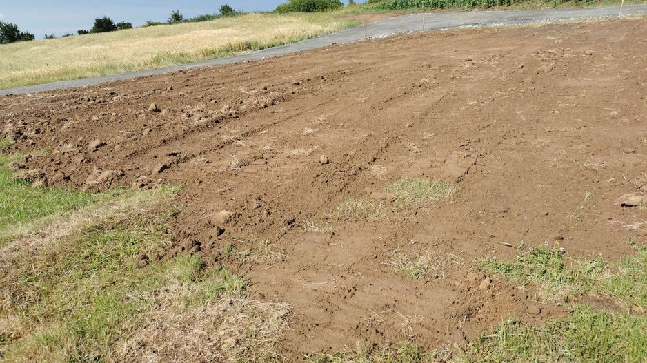 Giroc-Padure | 500 mp | 2 F.S. - Poză 7