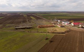 Fermă cu teren intravilan de 35000 mp în Mișca - Poză 9