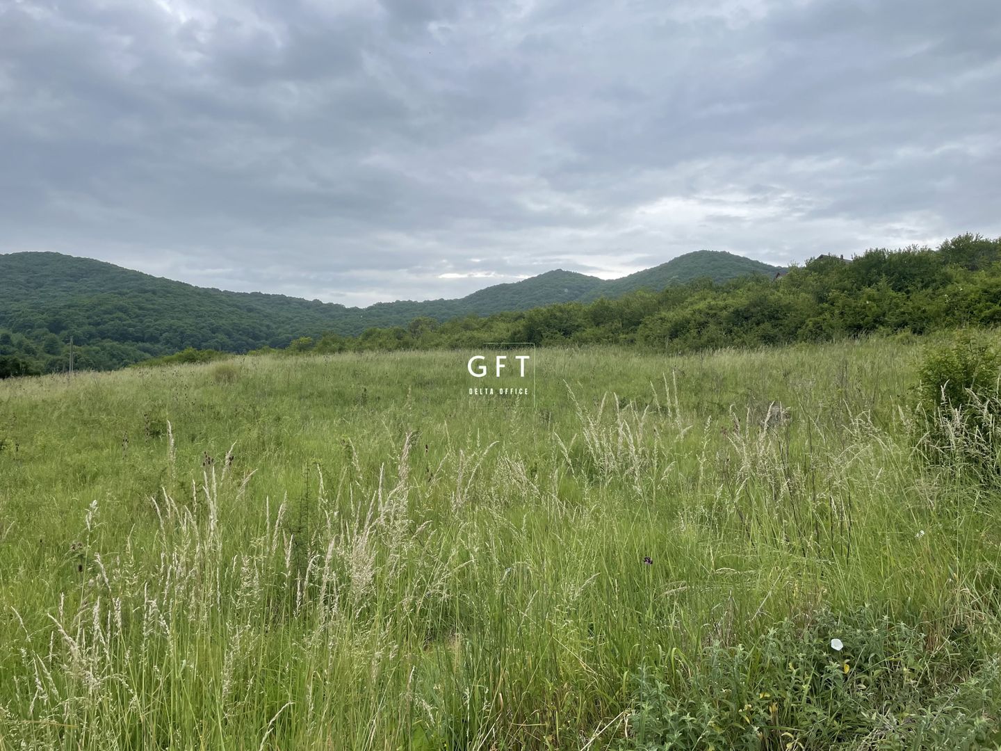 Super Oferta. Teren intravilan, Viisoara. - Poză 5