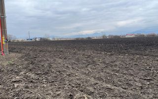 Teren 50000mp Extravilan-Intrare Halchiu-Cod 5235 - Poză 6