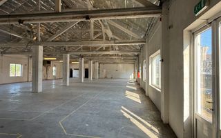 Spațiu multifuncțional in Oradea | Showroom | Depozit | Producție - Poză 8