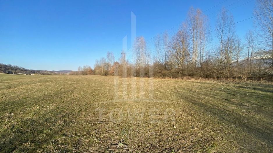 Teren de 7.500 mp de vânzare în Bradu, Avrig-COMISION 0% – lângă râul Olt. - Poză 7