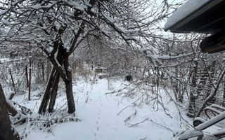 Casă batraneasca+ teren 999 mp intravilan în Oituz - Poză 18