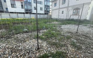 Teren 718 MP Intravilan Chiajna - Poză 2