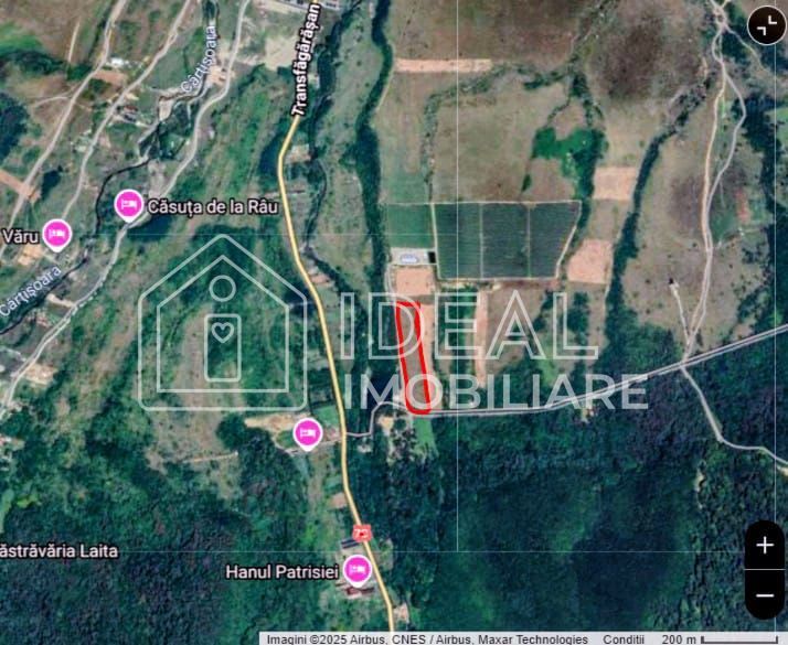 Teren extravilan 6.500 mp – Cârțișoara | Comision 0% - Poză 7