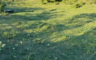 ⭐  Teren de 2.700 mp cu front generos – Ocazie în Oncea - Poză 23