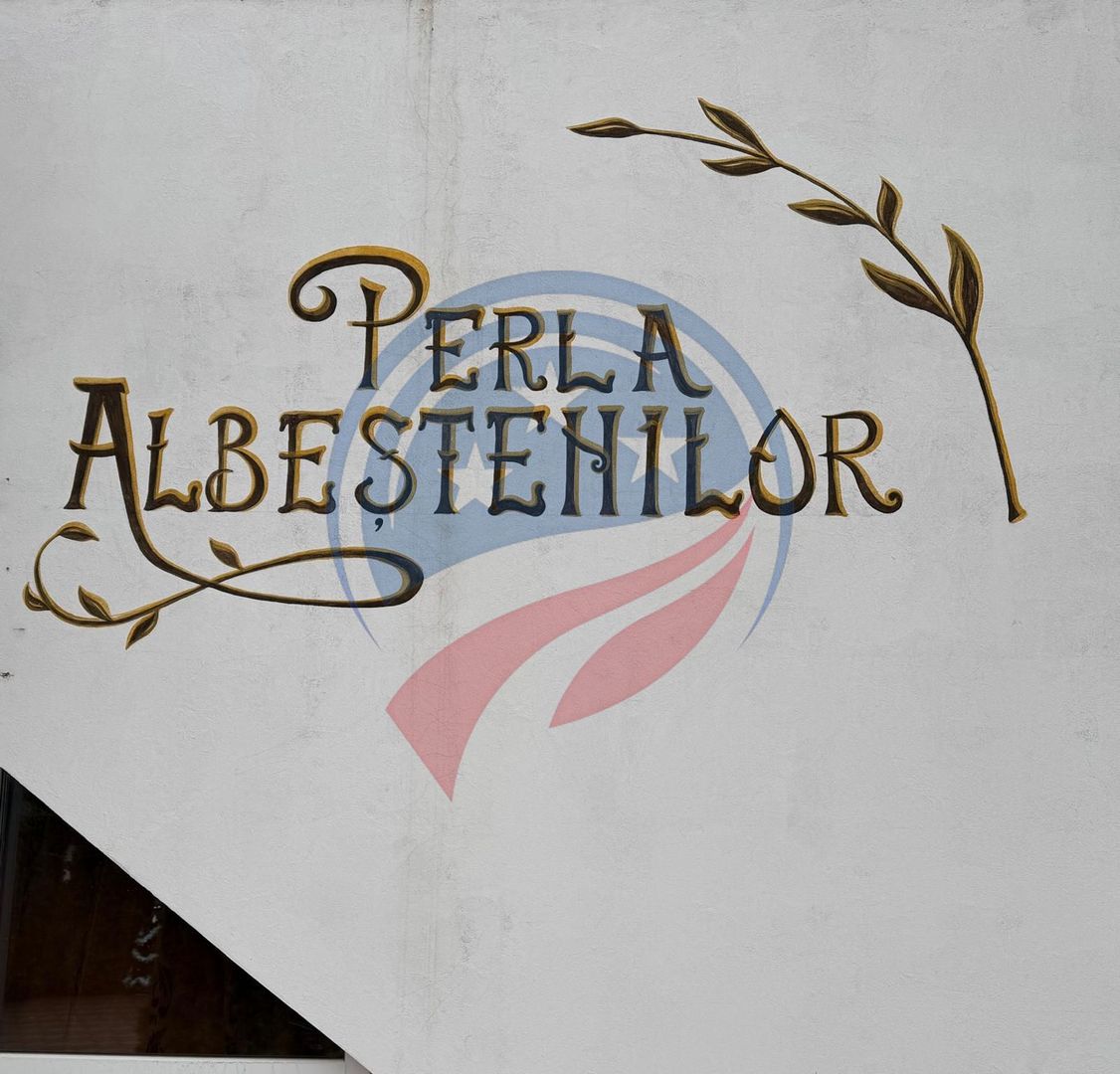 AFACERE FUNCTIONALA SALA EVENIMENTE SI PISCINA - Poză 17