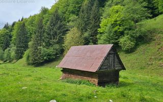 13005 mp teren faneata in Bran Simon cu fornt de 57 mp - Poză 8