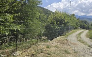 Teren extravilan 2.300 mp – Cârțișoara, județul Sibiu - Poză 5