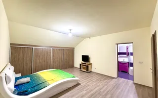 990 e/ mp - Casa individuala  - 700 mp teren - la asfalt - Sacalaz - Poză 16