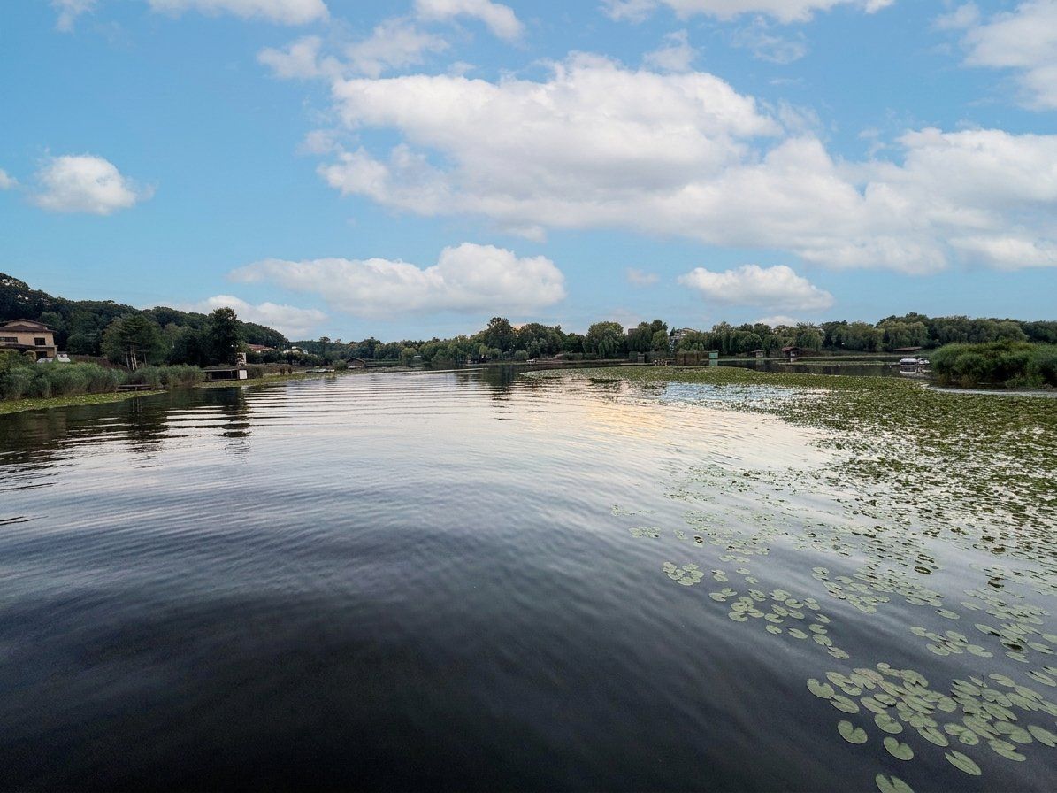 Teren în Snagov, intre Lac și Pădure - Poză 4